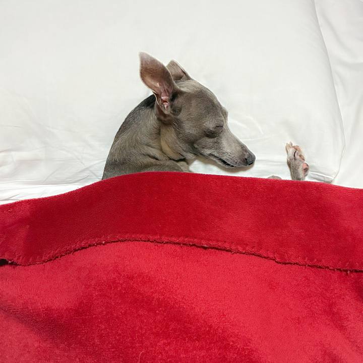 D09cca35 15f7 47c3 b8dc c3b9cb4ec702 1763808035999