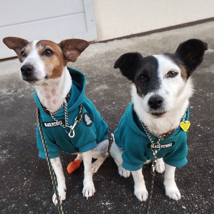 D09d06d8 c093 4052 a399 31ad74d0cdf9 1763332461066