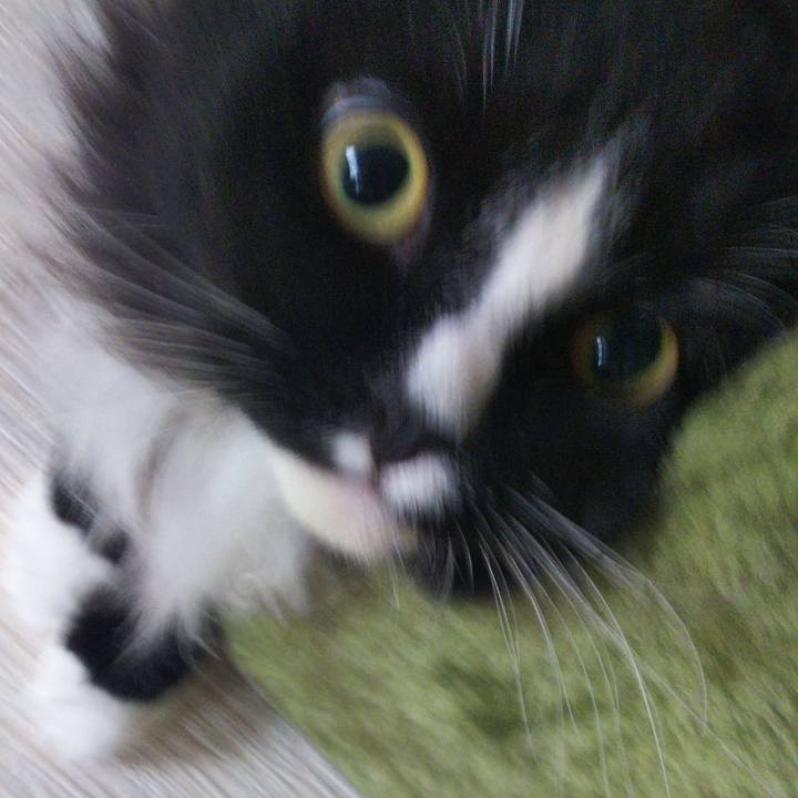 D09d331f 965b 48ae 9d20 6483e8205b09 1663290871548