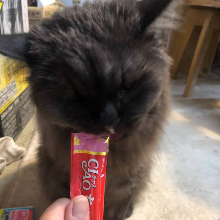 D09d3a59 bc7e 470c ba22 02f22c3bab9c 1537742816032