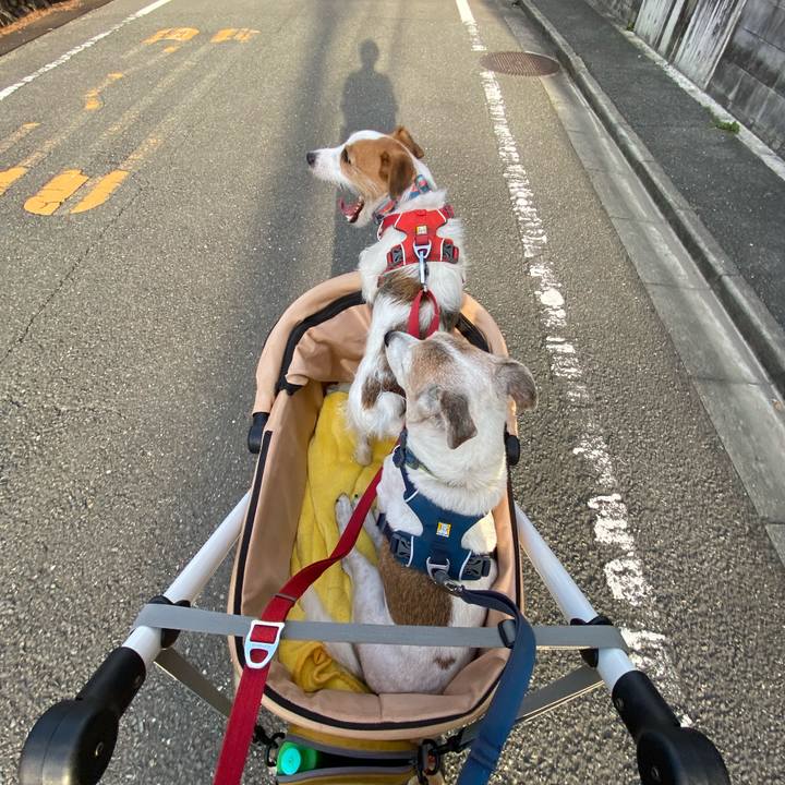 D09d7b8d 7fa8 4828 9c18 deed7bf47cf5 1666427959190