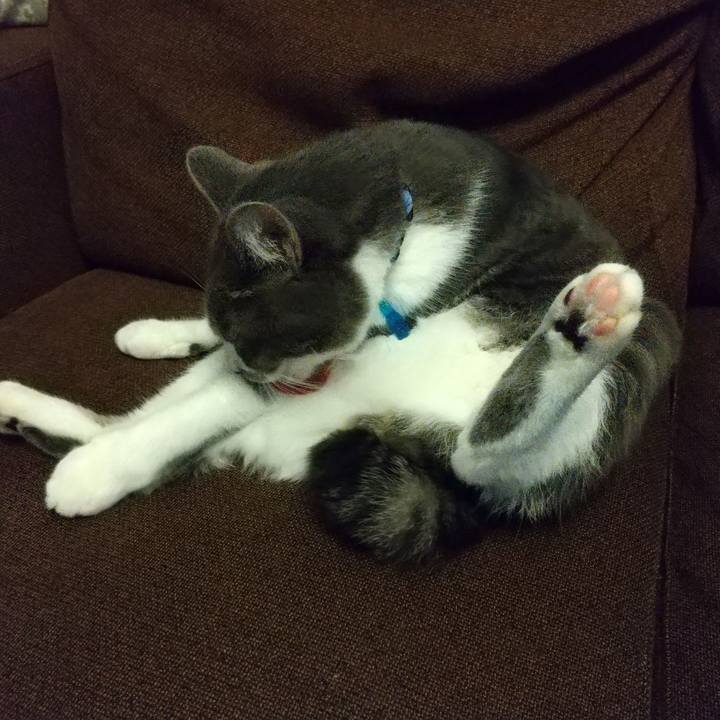 D09d9ff0 0108 4abd 84bd 688599fce1df 1603350372034