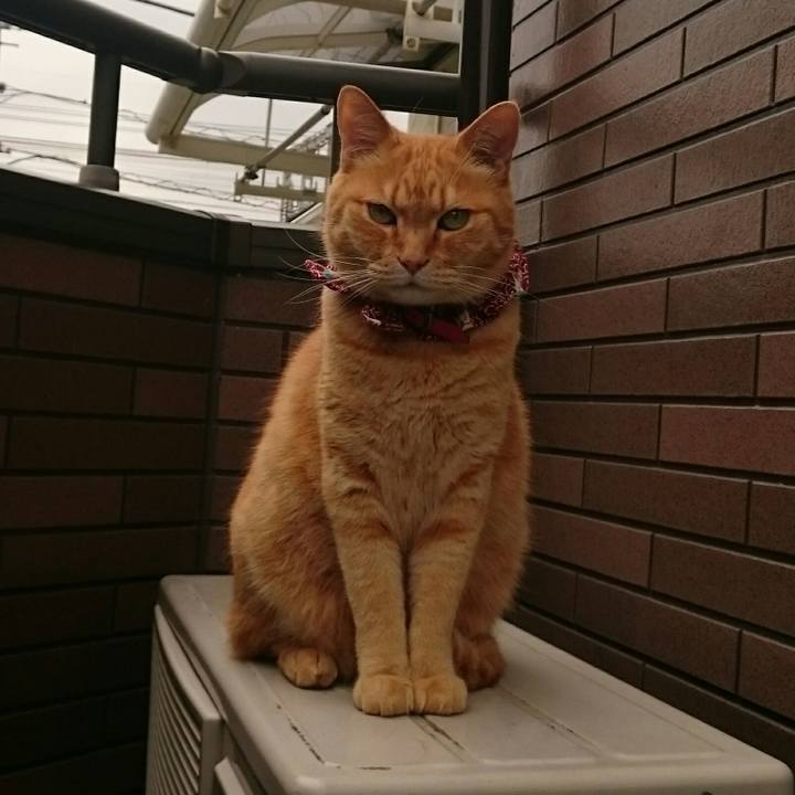 D09dad40 d60d 4563 969c 70b3d673996b 1527481189738