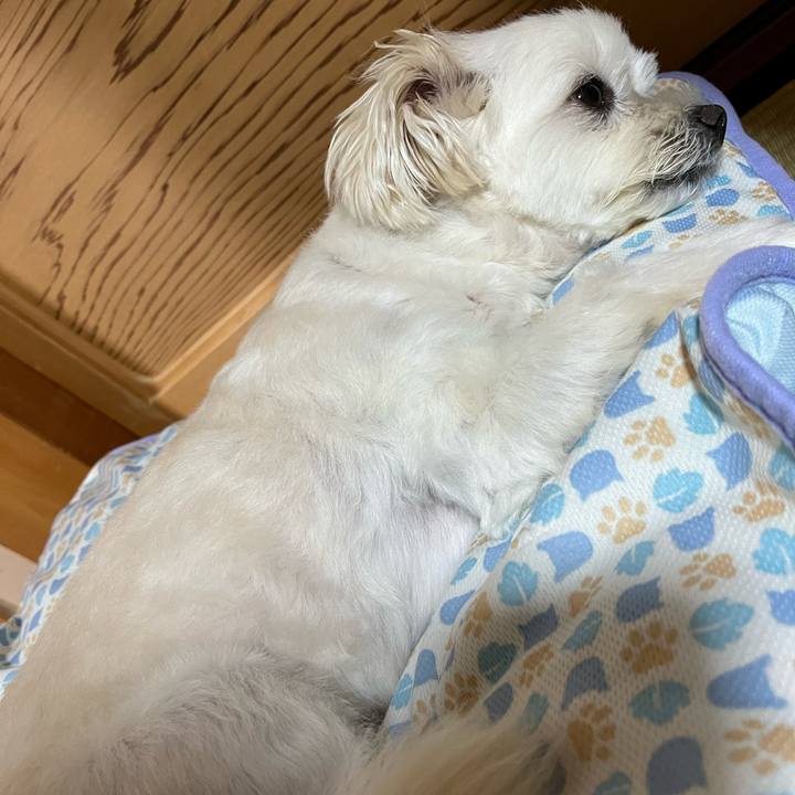 D09de289 31a1 4c7e 93ae 2006c04c64b8 1656939431362