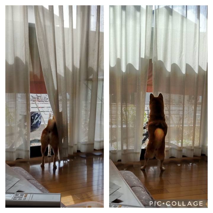 D09de6ca ce5d 43b0 959b 5822551237a9 1709004619869