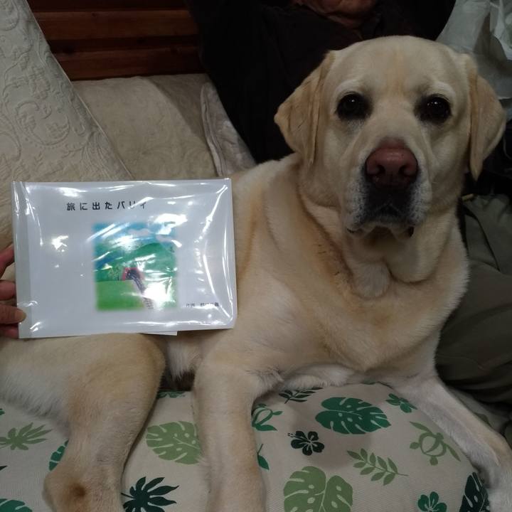 D09e0c6e 5b51 4ca6 ba27 1a6e52f86a96 1638010055716