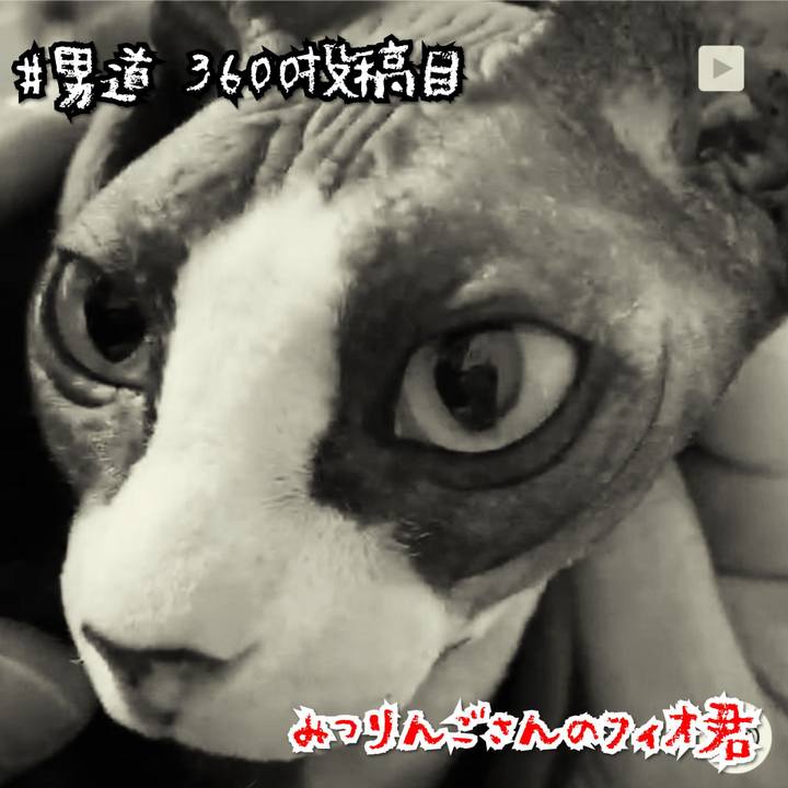 D09e0dae 46bb 457e 92e0 03e98abcf082 1572253408048