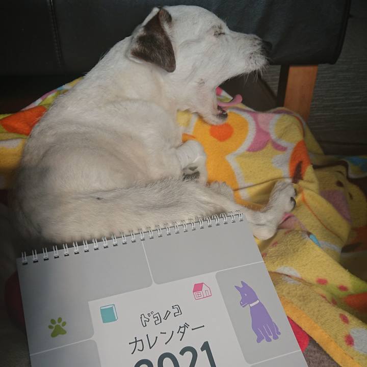 D09e97cc b16d 4984 aa6c c0dd9855b45e 1605796189870