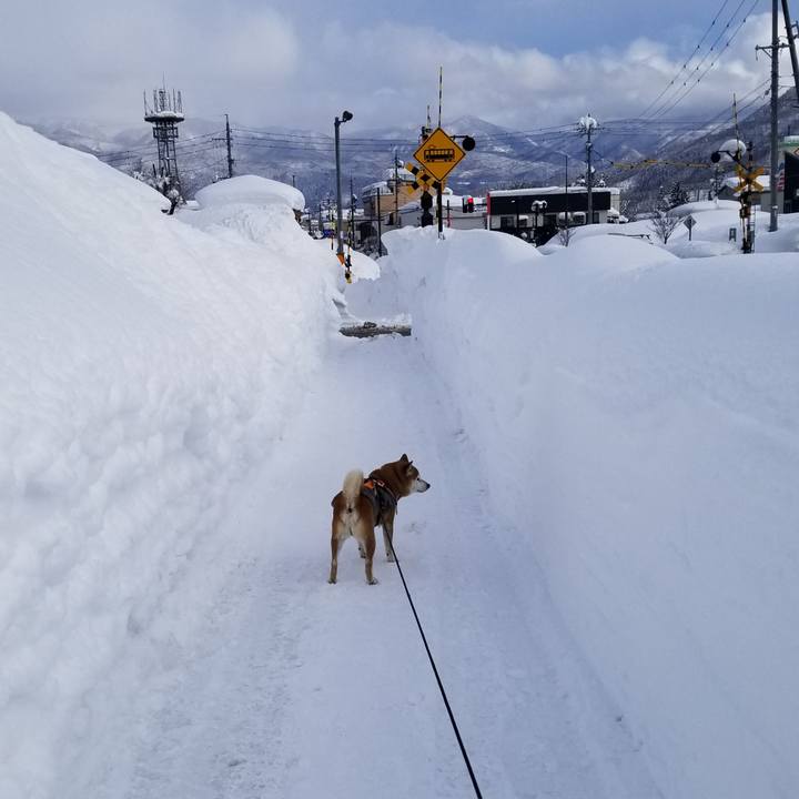 D09eb827 aaea 47fc bcf8 c4443452d86b 1644225156195