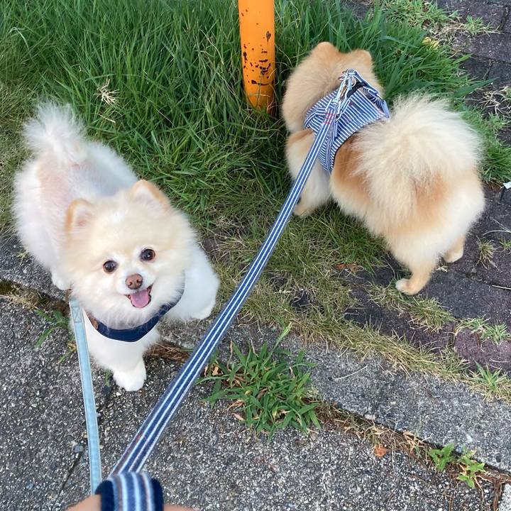 D09eb8bf dc40 4342 9cff 5b02da612667 1689808331629