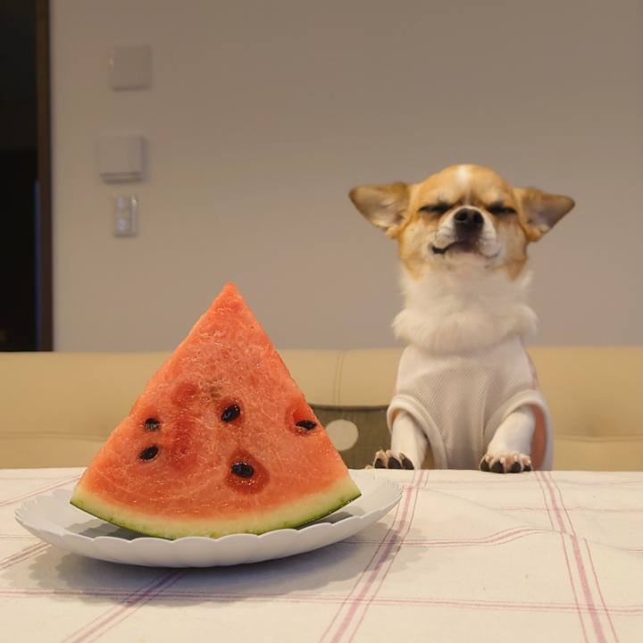 D09ed8b4 2524 4828 8cbd a5c67a2c7935 1623831902231