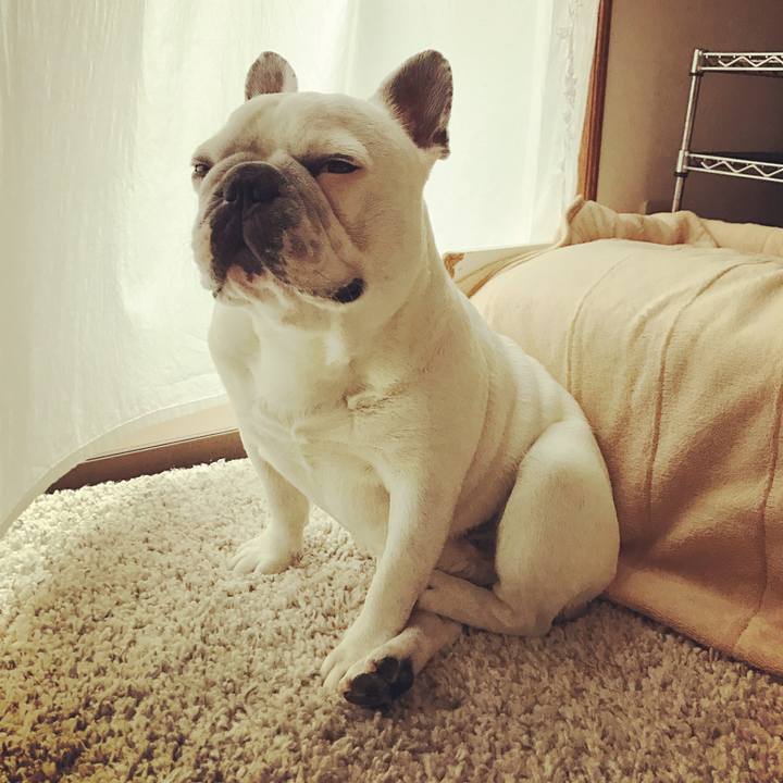 D09ef07c 9658 4d62 9949 310b3b17a7df 1513727927255