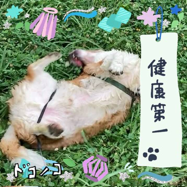 D09f25de 92fa 43fc b30e cbf0ebe7bcf3 1720750149970