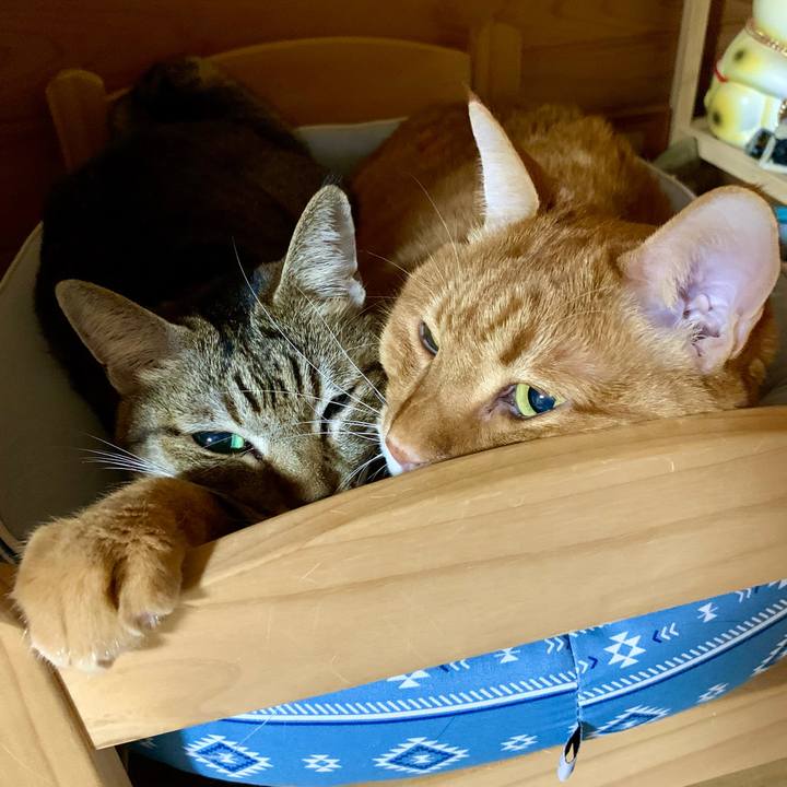 D09f32d0 784f 41cf a3b8 a497b9cce1ee 1639837077696