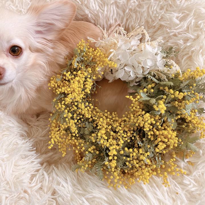 D09f46ef 4075 4c70 8315 2866b07a8fd4 1678520441732