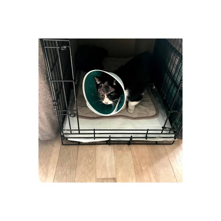 D09f5ffb 60d0 431f a846 572484f420d4 1581472938128