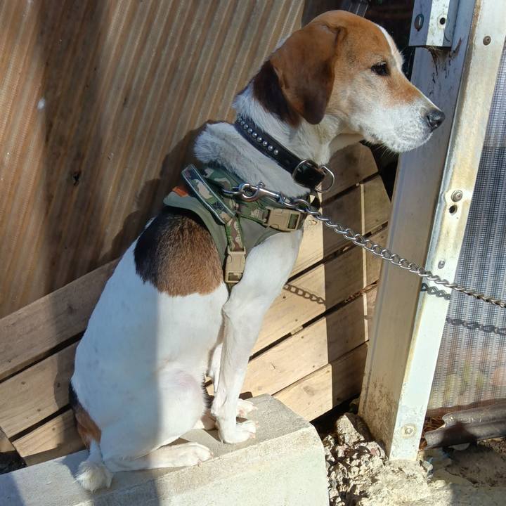 D09fa16d 22b5 433f 94b4 65fab22076ea 1736583040875