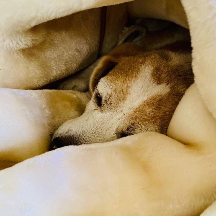 D09fc794 ef5c 4fac ab50 c43293f8f214 1610412984002