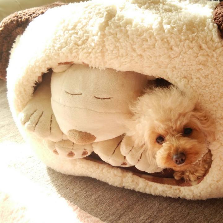 D09fcb7f 3d8f 48ee b036 737954f80ba1 1516955653746