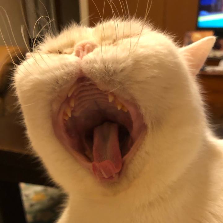 D09fece9 3bcd 4581 b101 13c460a76170 1676109689632