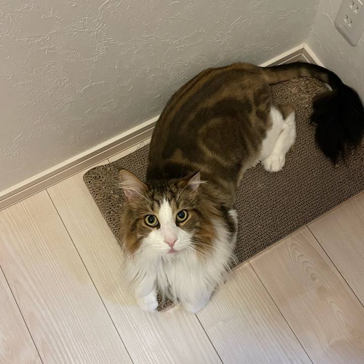 D0a00f75 fd8a 47c7 a891 dc343f3bab68 1690141621311