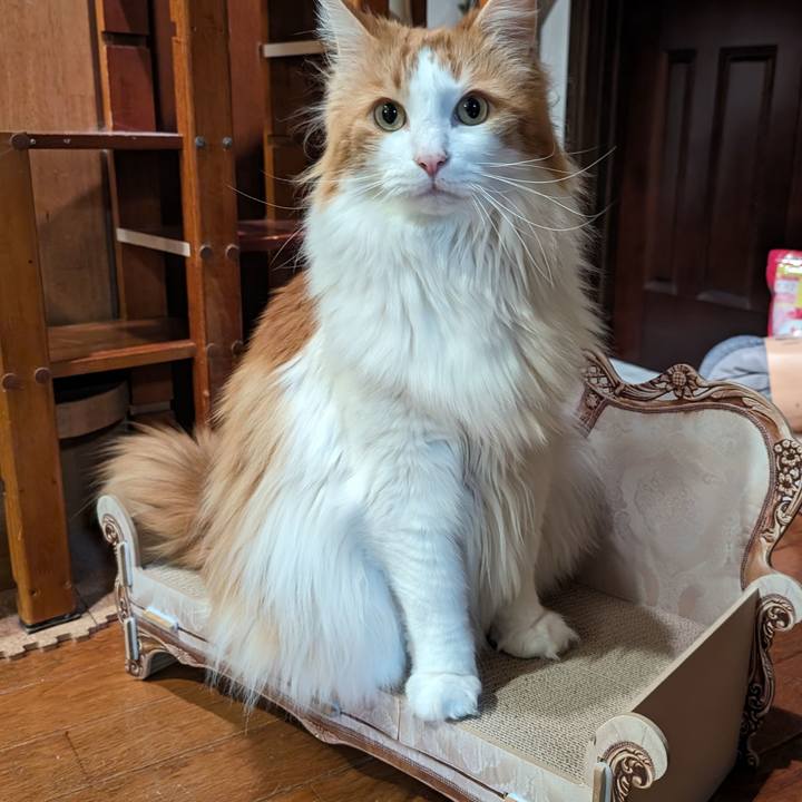 D0a03dad 9864 4e02 bdb8 84ea13cba832 1713612546540