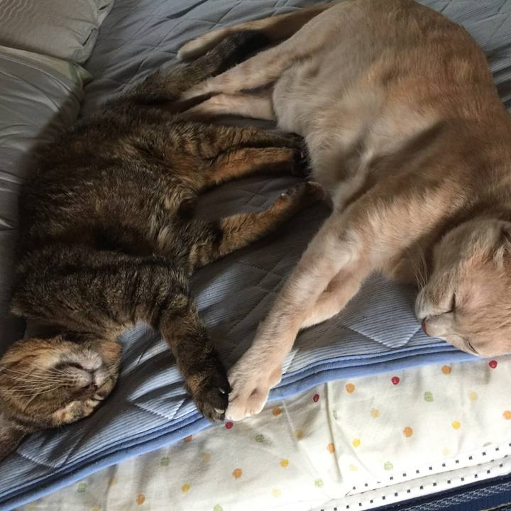 D0a04abb fe6b 4320 8669 14e6effb72b3 1660608886451