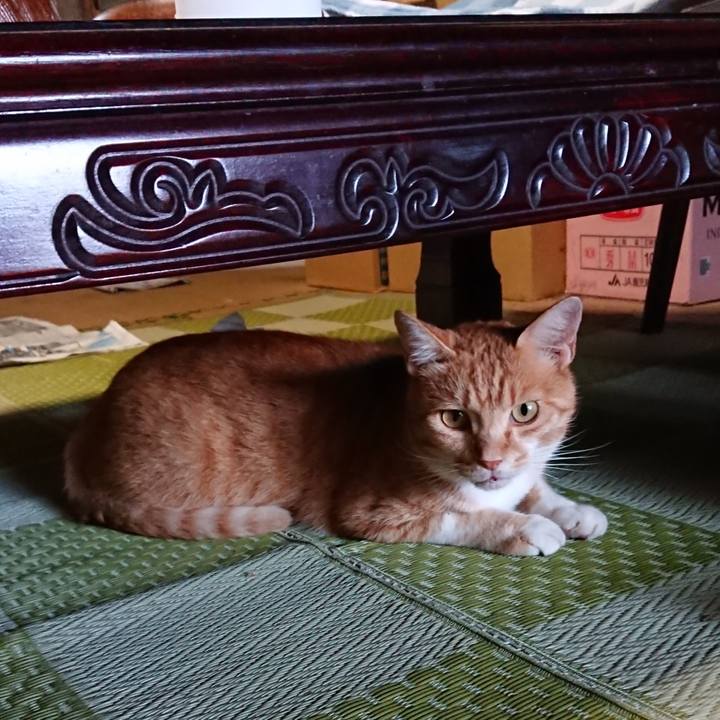 D0a05b45 35fb 4a28 af75 8a5bf15bb9cd 1596014911861