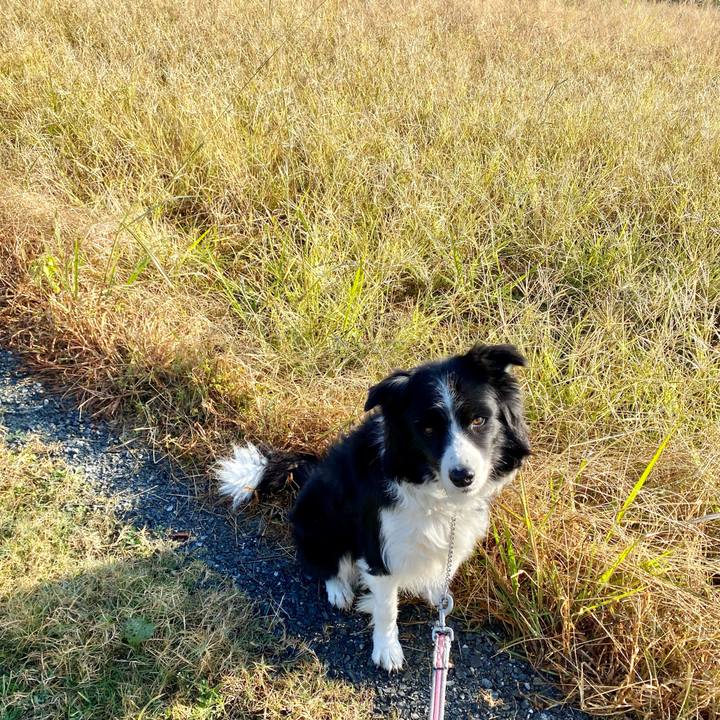 D0a06ae5 b14d 47bb ad3a 4e32b628fa0f 1637282511729