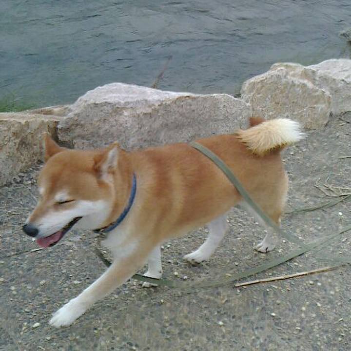 D0a08063 2935 4c09 88bc 279bc8a026d2 1538735157148