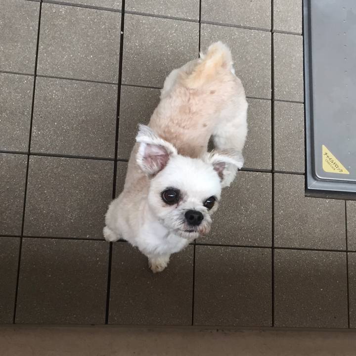 D0a0e0e0 3dec 4c2b aa90 eaf5ed31b074 1561940862698