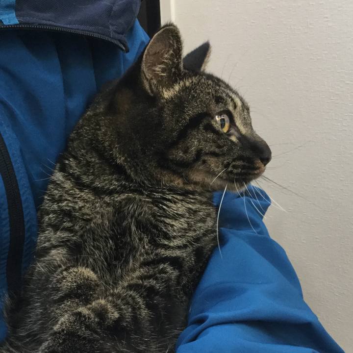 D0a0eb00 880f 46b3 95ed 519a31d49615 1588554067585