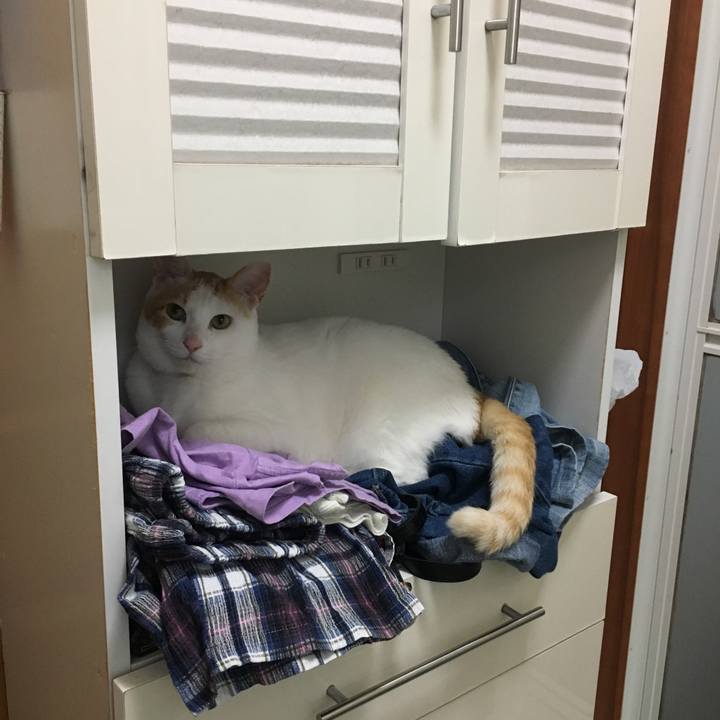 D0a0fe21 ea64 441a a3f4 83f56105670d 1527417962160