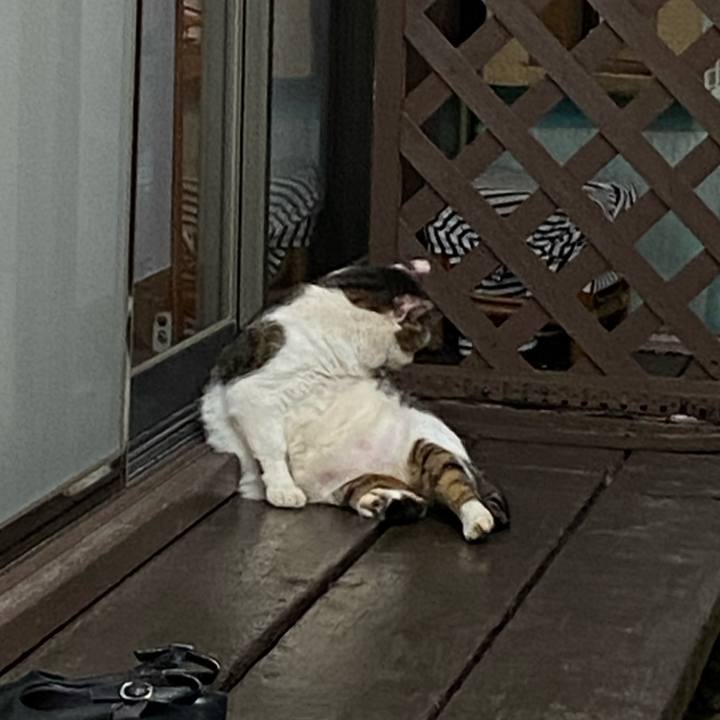 D0a1013d b72d 46a3 ba47 ddec00ada892 1666510671706