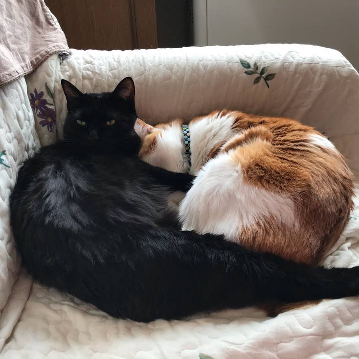 D0a114fb 22e7 4727 a48e b0ae8d1e336d 1609036457173