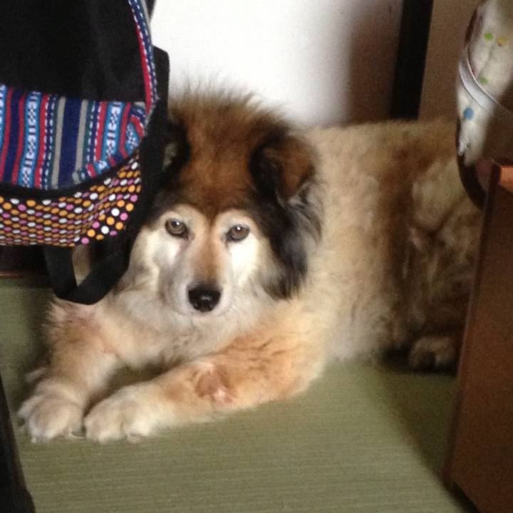 D0a12258 fd5a 4773 b022 d92c404611e7 1549063445086