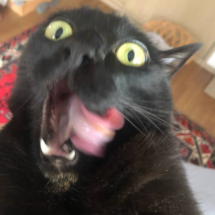 D0a1278d 6861 414e 9911 5d643e8f7f41 1625443974408