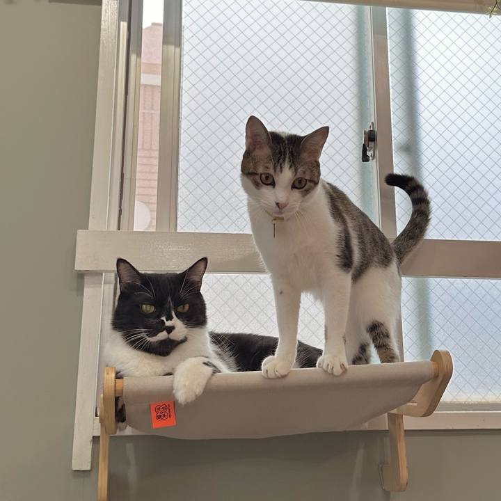 D0a1a895 4744 4fb7 918a 8a359c07aa40 1761811184859