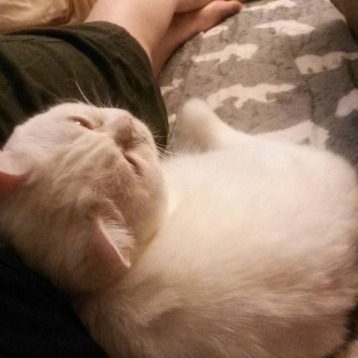 D0a1b35b 3665 4704 b9d1 c49eaac4517f 1538637007109