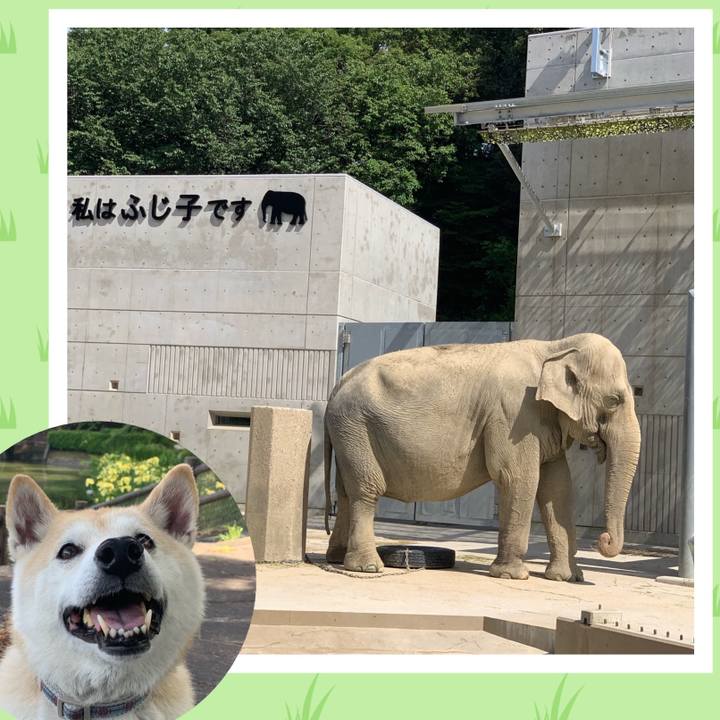 D0a1c617 1aa4 4086 a5b4 6261053fac19 1559483787963