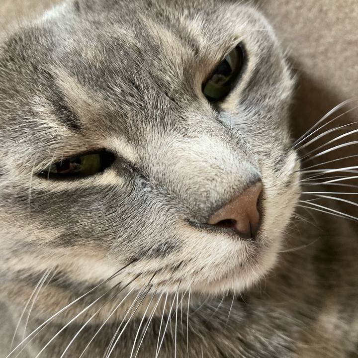 D0a1ee32 d5d7 4332 b625 c355cd3c769d 1645278740748