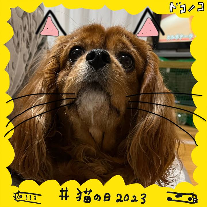 D0a20405 354c 4ed0 9a8f 9a1b89d1791c 1677039346422