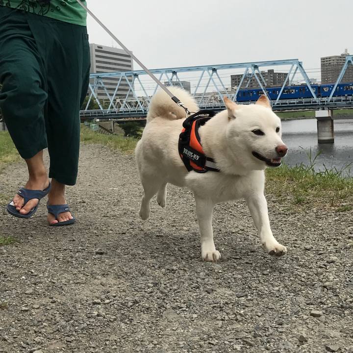 D0a21149 7ff9 4381 b573 72b30e6ff6a3 1527301802218