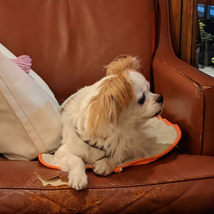 D0a24231 4a8a 4f22 a7ef 3b93b380ea0d 1667481456136