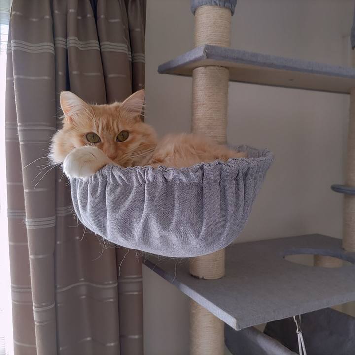 D0a25462 fb4b 49f0 a7dd c1ce9421e077 1670122926198