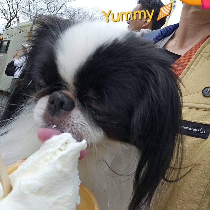 D0a26a41 9679 4618 aa8d fabdee3c8424 1727779206027