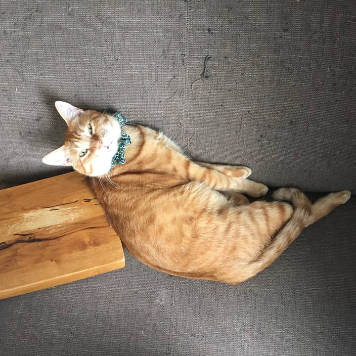 D0a2e4bc d1a0 45d1 b57c 7e509e35a5b4 1537664110638