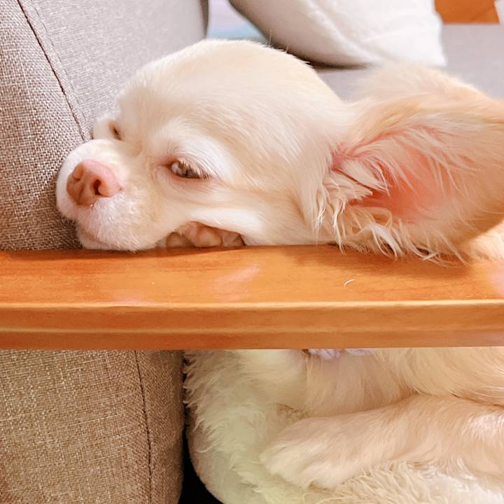 D0a2edc3 cffa 43f5 8bc3 c7e7f9dad188 1661420688912