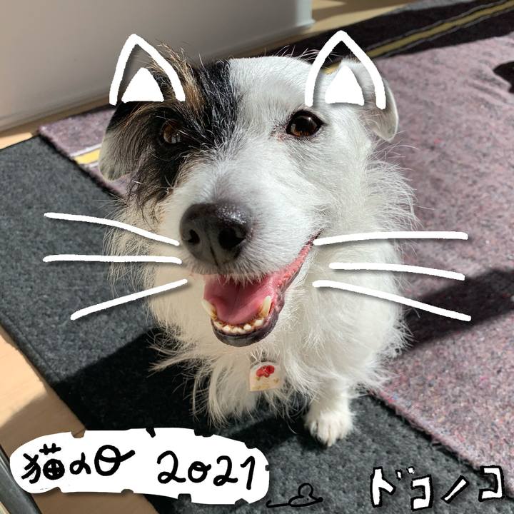 D0a2f946 8b74 486e a88e d21bfaef94d6 1613971568885