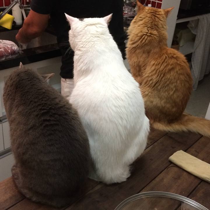 D0a30476 ec58 4e4d 9194 96475995829a 1516821804833